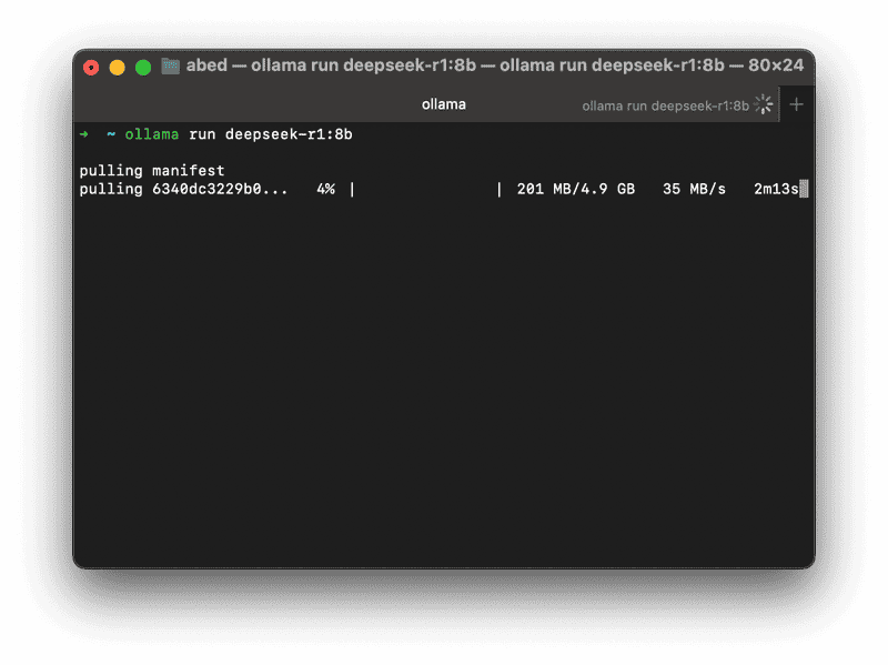 Downloading deepseek
